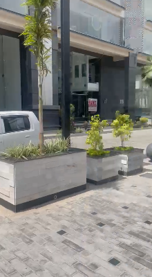 10 Marla Plaza for Rent in DHA Phase 6 Raya Lahore (Back to Main, Basement + Ground + 7 Floors)