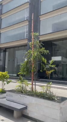 10 Marla Commercial Plaza for Sale in DHA Phase 6 Raya Lahore (Back to Main, Basement + Ground + 7 Floors)