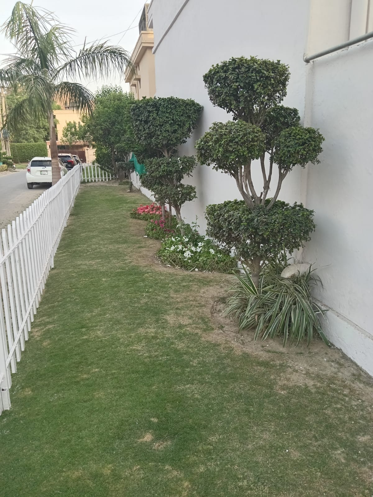 14 Marla ST House for Sale in Falcon Complex, Gulberg 3 Lahore