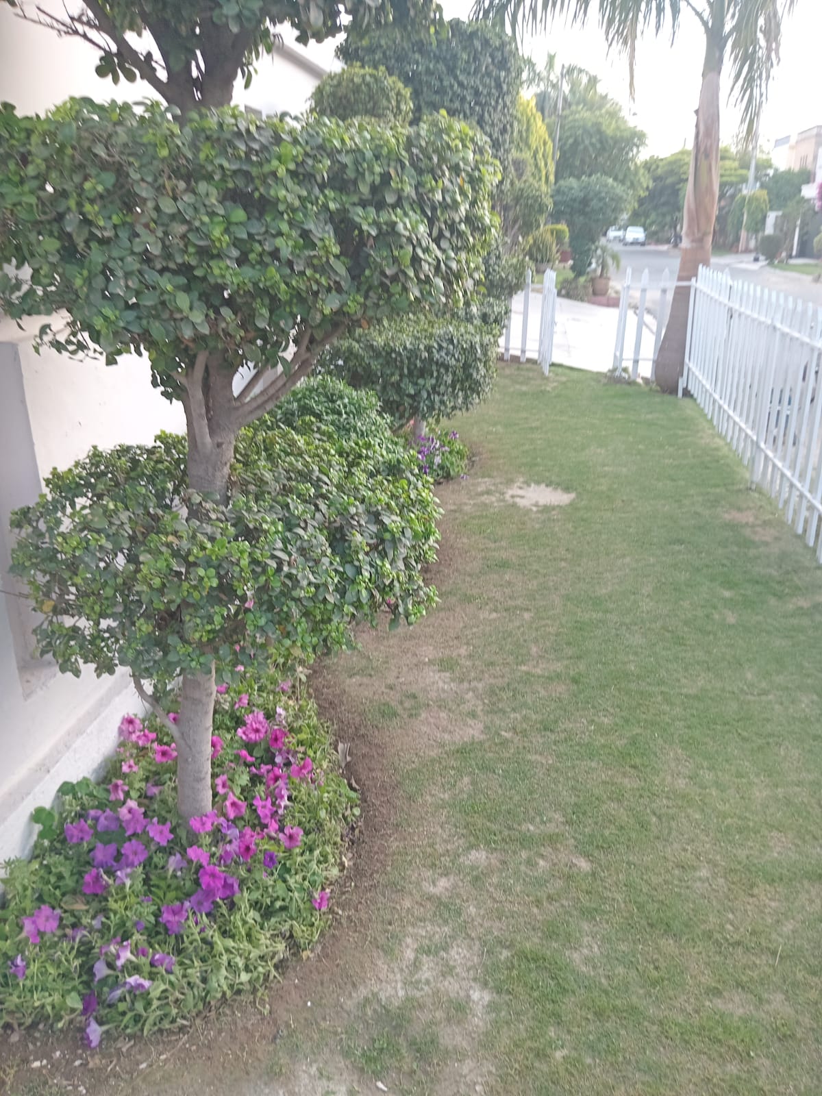 14 Marla ST House for Sale in Falcon Complex, Gulberg 3 Lahore