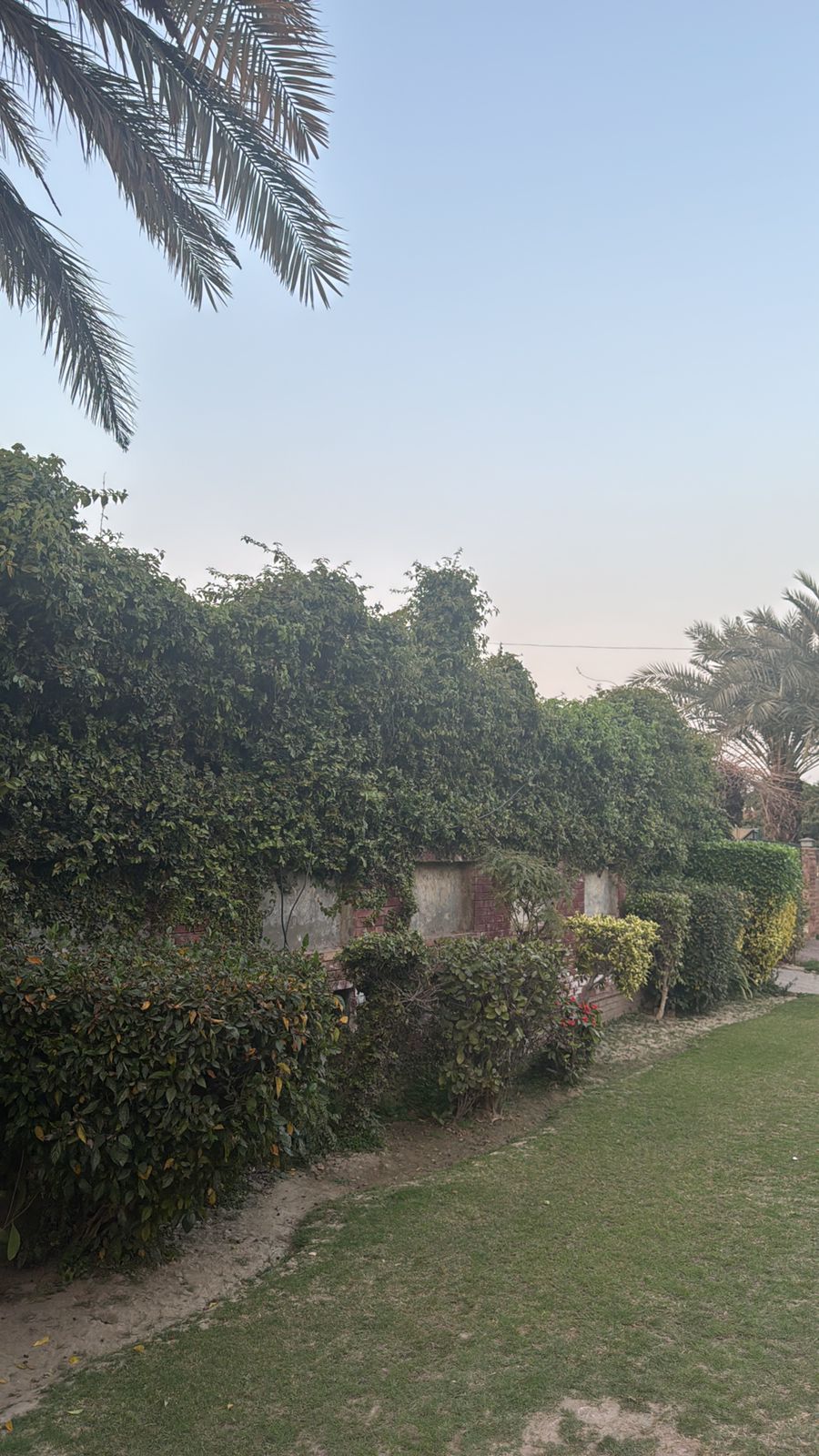 2 Kanal Red Bricks House for Sale in S Block, Phase 2, DHA Lahore