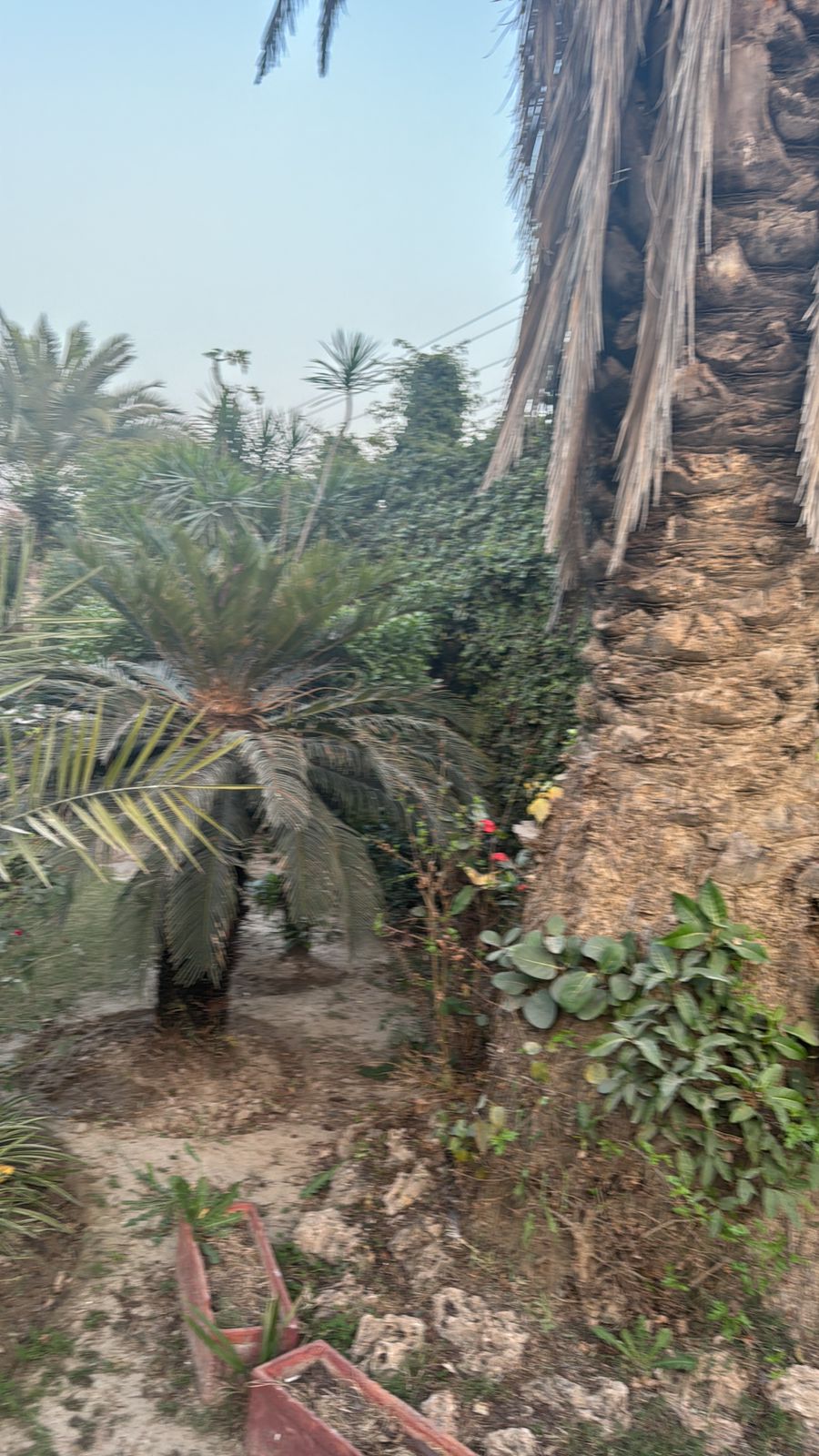 2 Kanal Red Bricks House for Sale in S Block, Phase 2, DHA Lahore